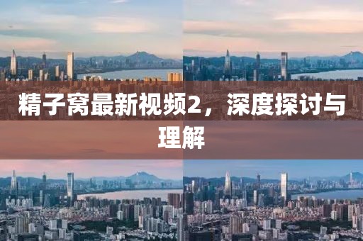 精子窝最新视频2，深度探讨与理解