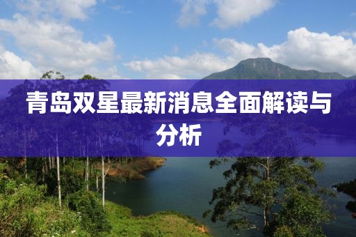 青岛双星最新消息全面解读与分析