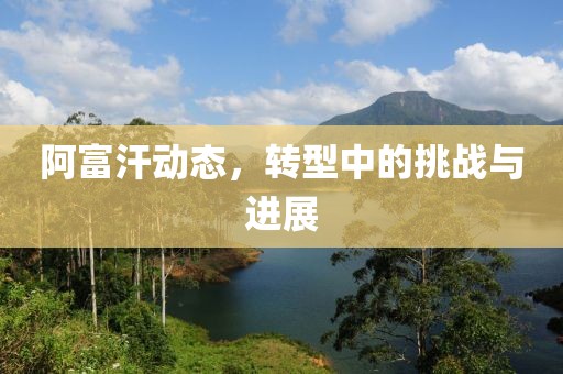 阿富汗动态，转型中的挑战与进展