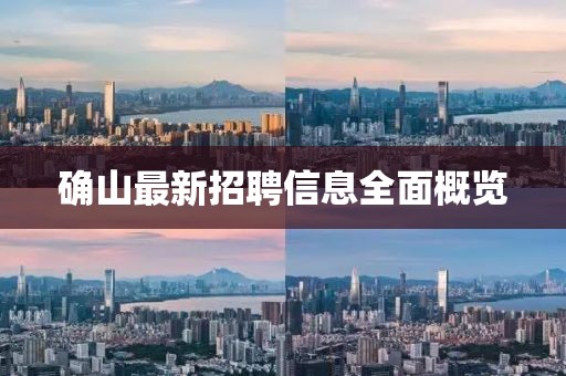 确山最新招聘信息全面概览