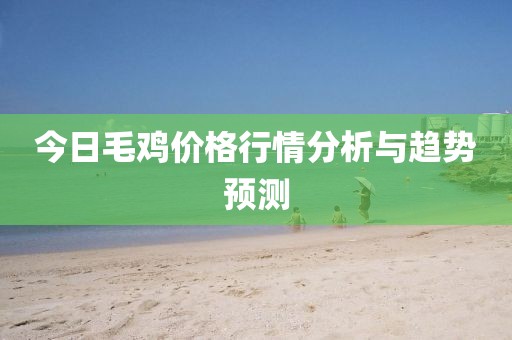 今日毛鸡价格行情分析与趋势预测