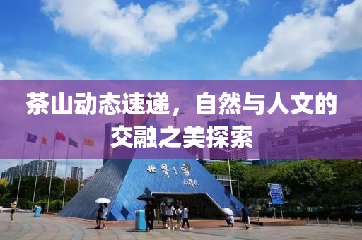 茶山动态速递，自然与人文的交融之美探索