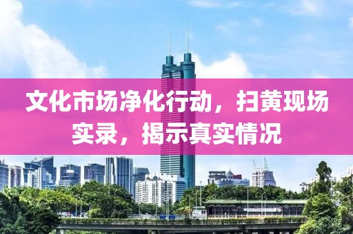 文化市场净化行动，扫黄现场实录，揭示真实情况