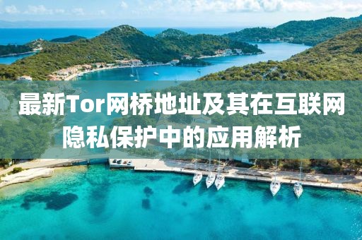 最新Tor网桥地址及其在互联网隐私保护中的应用解析