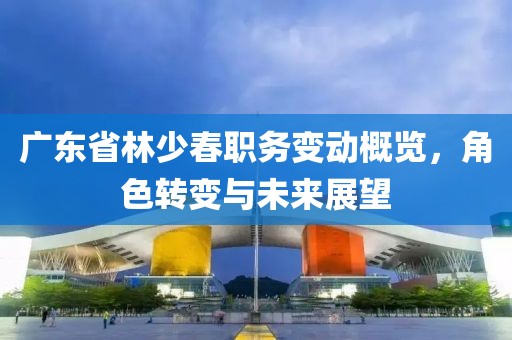 广东省林少春职务变动概览，角色转变与未来展望