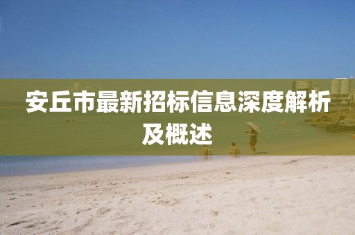 安丘市最新招标信息深度解析及概述