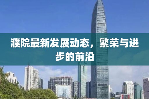 濮院最新发展动态，繁荣与进步的前沿
