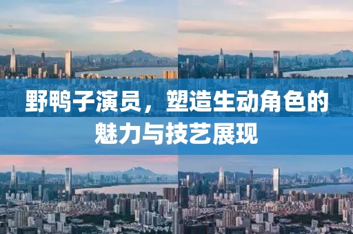 野鸭子演员，塑造生动角色的魅力与技艺展现