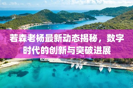 若森老杨最新动态揭秘，数字时代的创新与突破进展