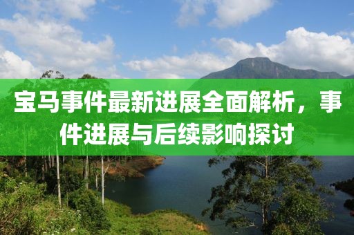 宝马事件最新进展全面解析，事件进展与后续影响探讨