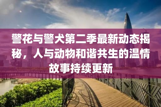 警花与警犬第二季最新动态揭秘，人与动物和谐共生的温情故事持续更新
