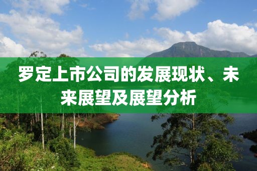 罗定上市公司的发展现状、未来展望及展望分析