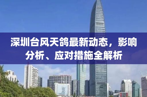 深圳台风天鸽最新动态，影响分析、应对措施全解析