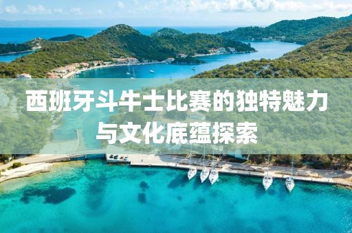 西班牙斗牛士比赛的独特魅力与文化底蕴探索