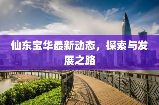 仙东宝华最新动态，探索与发展之路