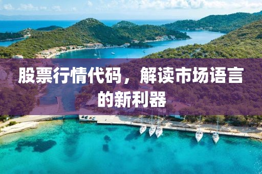 股票行情代码，解读市场语言的新利器