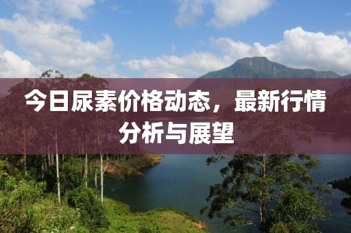 今日尿素价格动态，最新行情分析与展望