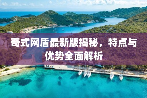 奇式网盾最新版揭秘，特点与优势全面解析