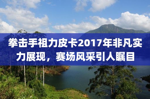 拳击手祖力皮卡2017年非凡实力展现，赛场风采引人瞩目