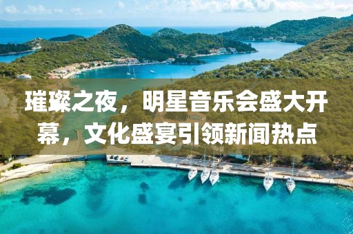 璀璨之夜，明星音乐会盛大开幕，文化盛宴引领新闻热点