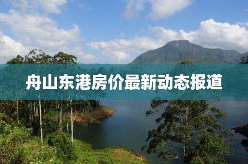 舟山东港房价最新动态报道