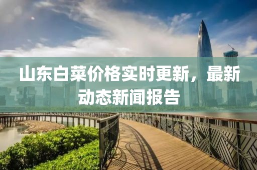 山东白菜价格实时更新，最新动态新闻报告