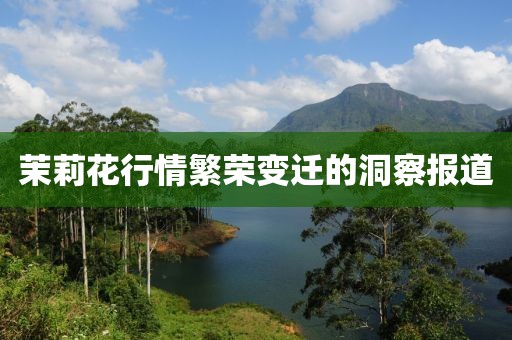 茉莉花行情繁荣变迁的洞察报道