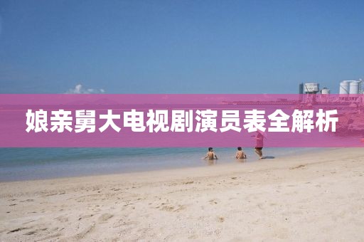娘亲舅大电视剧演员表全解析