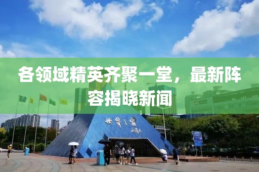 各领域精英齐聚一堂，最新阵容揭晓新闻