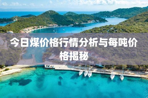 今日煤价格行情分析与每吨价格揭秘
