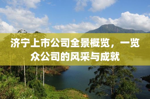 济宁上市公司全景概览，一览众公司的风采与成就