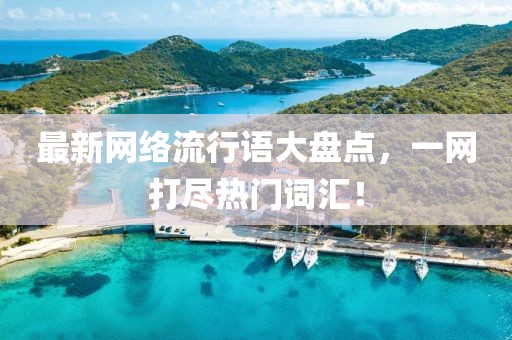最新网络流行语大盘点，一网打尽热门词汇！