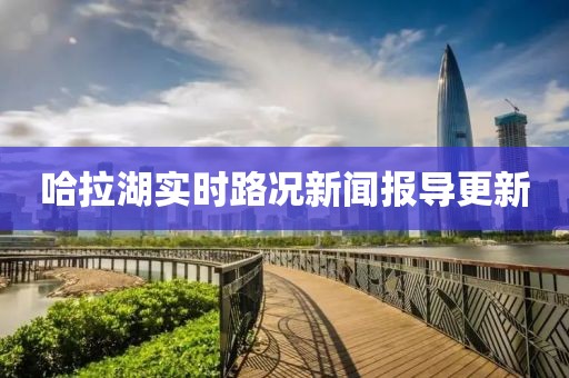 释文丽 第3页