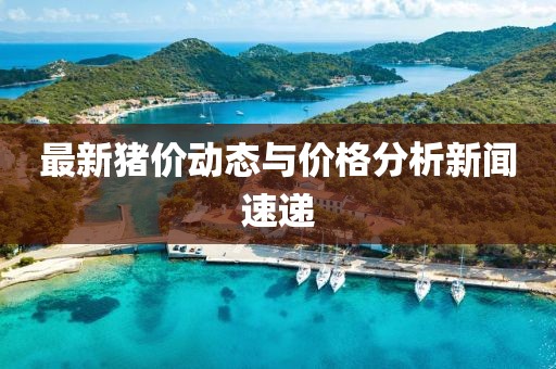 泥展鹏 第3页