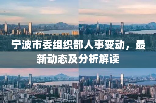 宁波市委组织部人事变动，最新动态及分析解读