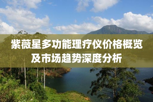 紫薇星多功能理疗仪价格概览及市场趋势深度分析