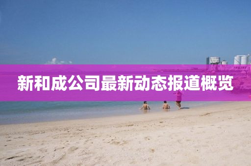 新和成公司最新动态报道概览