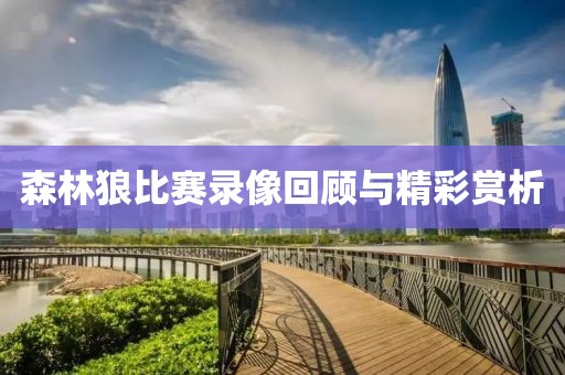 森林狼比赛录像回顾与精彩赏析