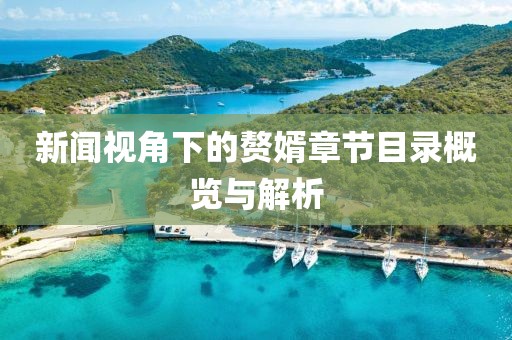 新闻视角下的赘婿章节目录概览与解析