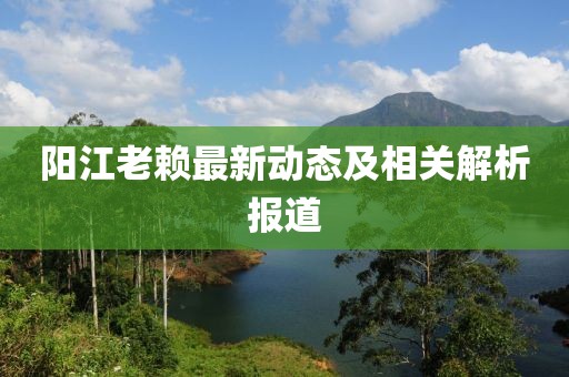 阳江老赖最新动态及相关解析报道