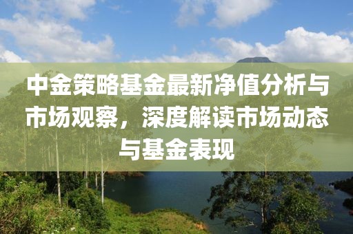 中金策略基金最新净值分析与市场观察，深度解读市场动态与基金表现