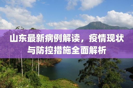 山东最新病例解读，疫情现状与防控措施全面解析