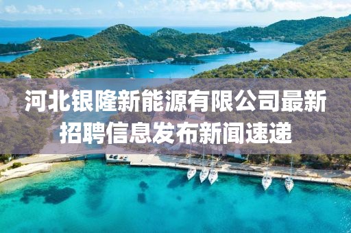河北银隆新能源有限公司最新招聘信息发布新闻速递
