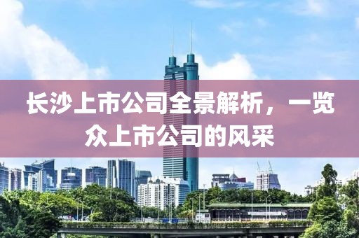 长沙上市公司全景解析，一览众上市公司的风采