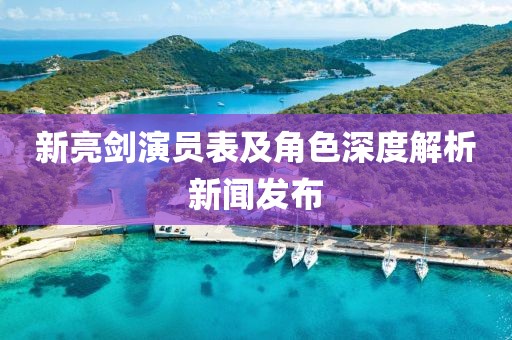 新亮剑演员表及角色深度解析新闻发布