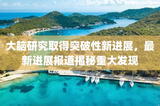大脑研究取得突破性新进展，最新进展报道揭秘重大发现