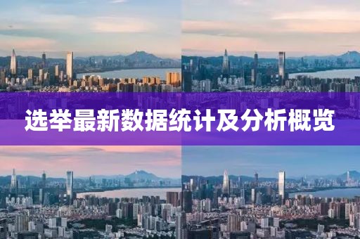 选举最新数据统计及分析概览