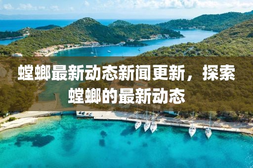 螳螂最新动态新闻更新，探索螳螂的最新动态