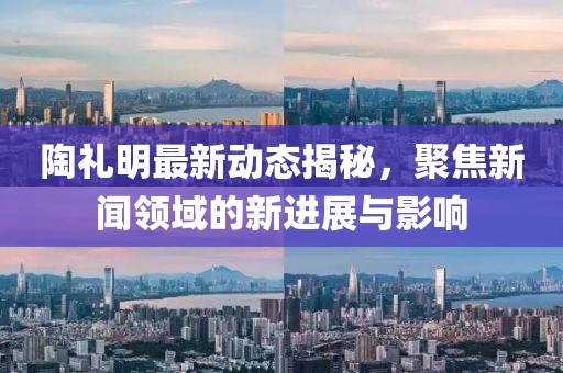 陶礼明最新动态揭秘，聚焦新闻领域的新进展与影响