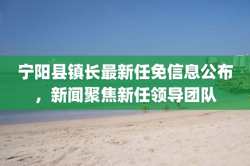 宁阳县镇长最新任免信息公布，新闻聚焦新任领导团队